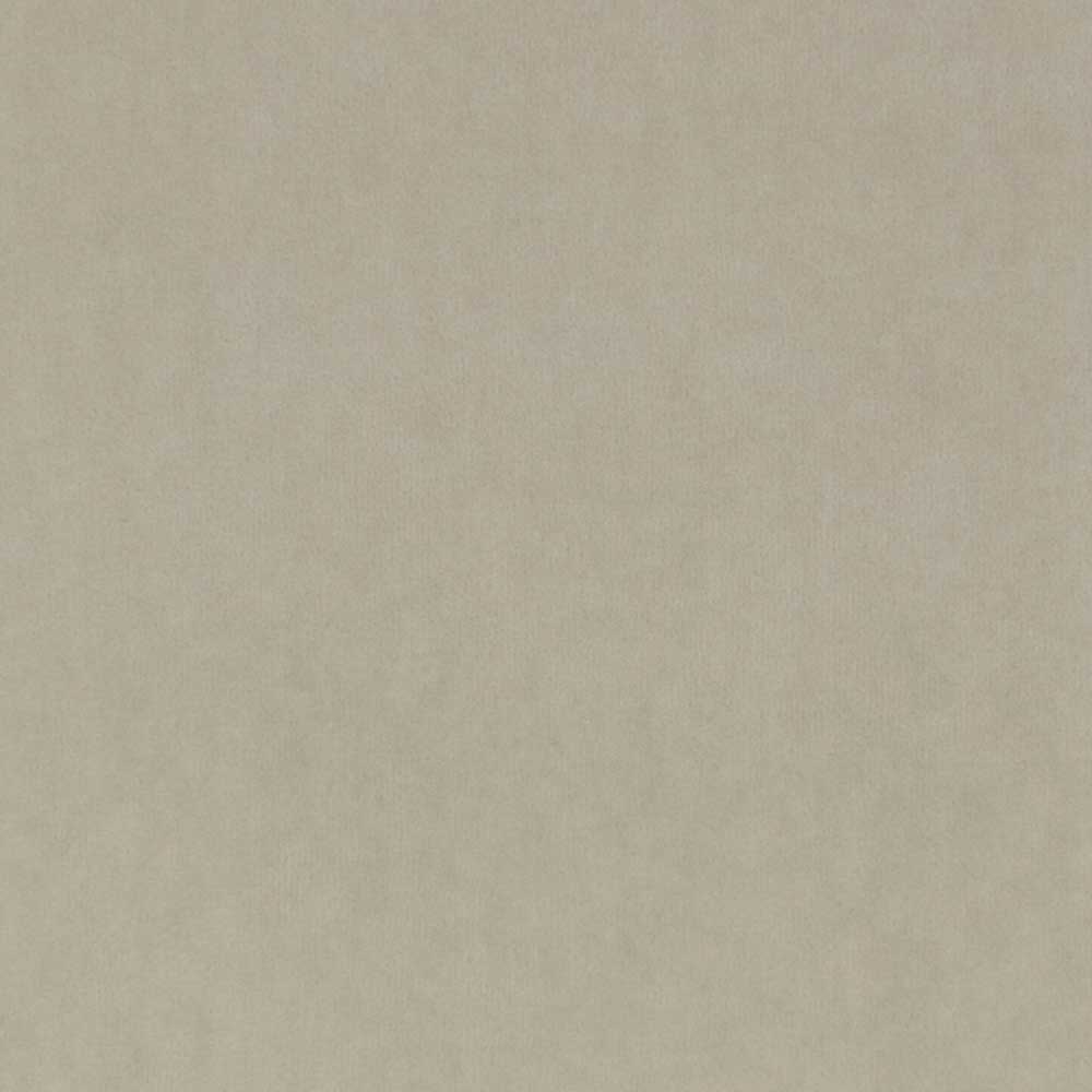 Web