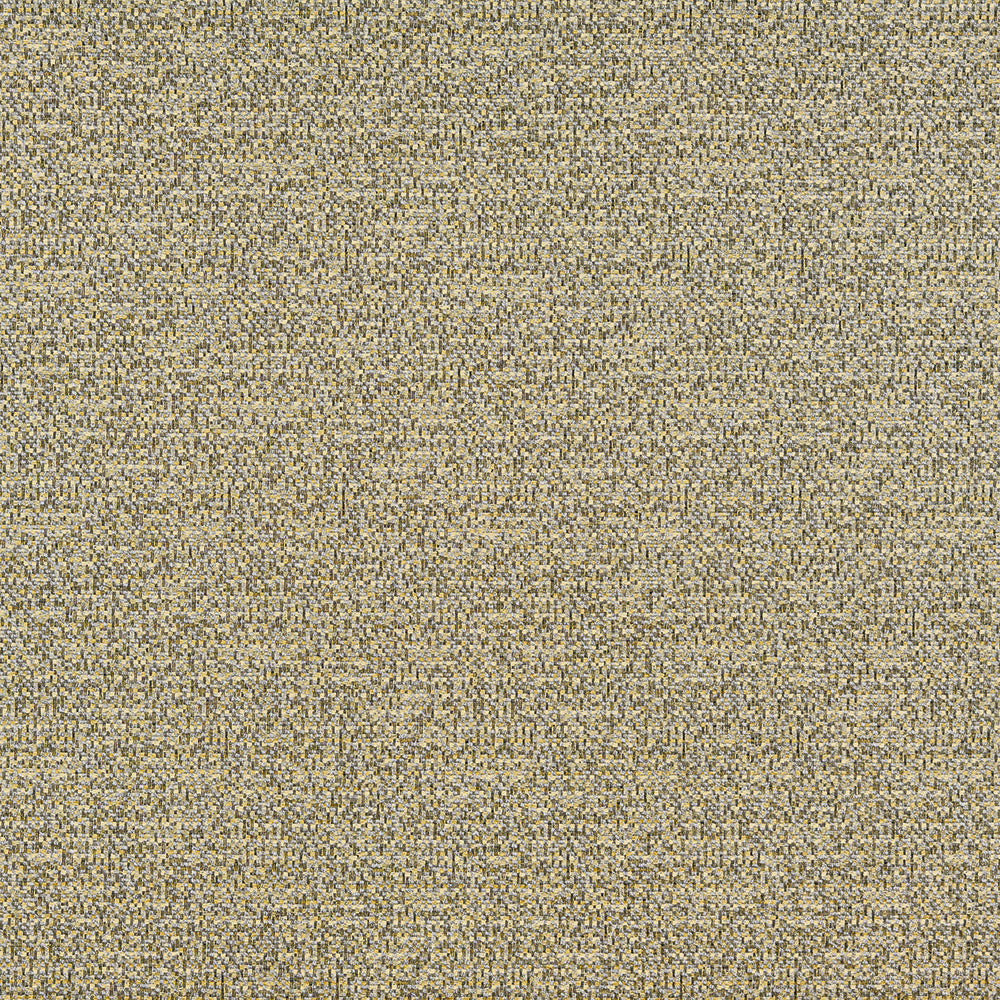 Krill